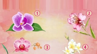 El test visual que expondrá cómo eres cuando escojas una orquídea