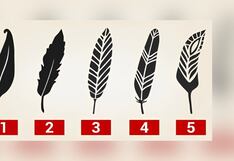 La pluma que escojas primero en esta imagen revelará qué clase de persona eres