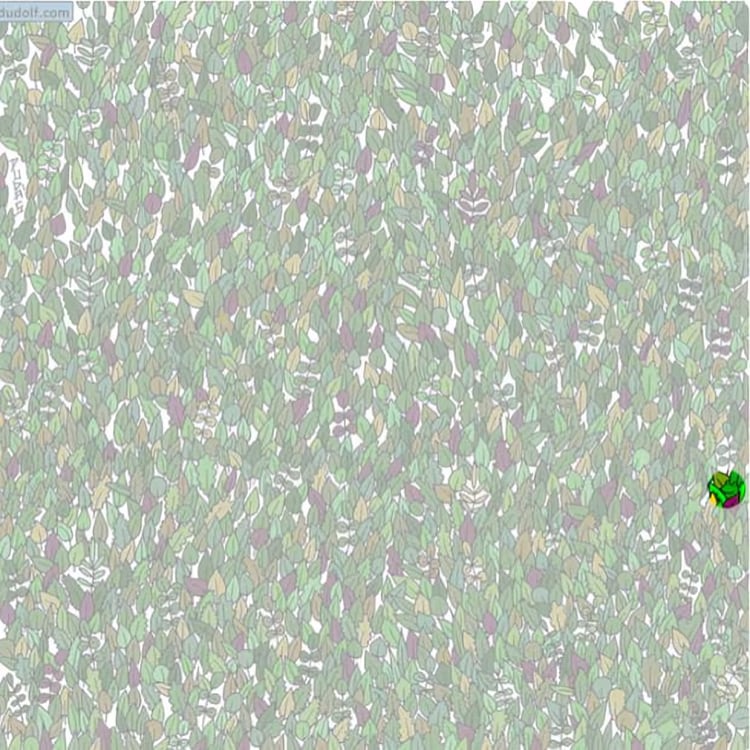 Desafío visual: ¿Puedes detectar la rana oculta entre el follaje en solo 11 segundos? (Foto: Depor)