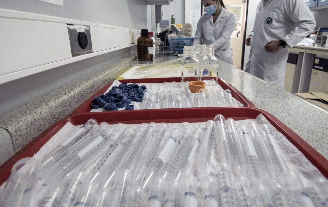 La reducción del precio de las medicinas era un gran sueño para los estadounidenses (Foto referencial: AFP)