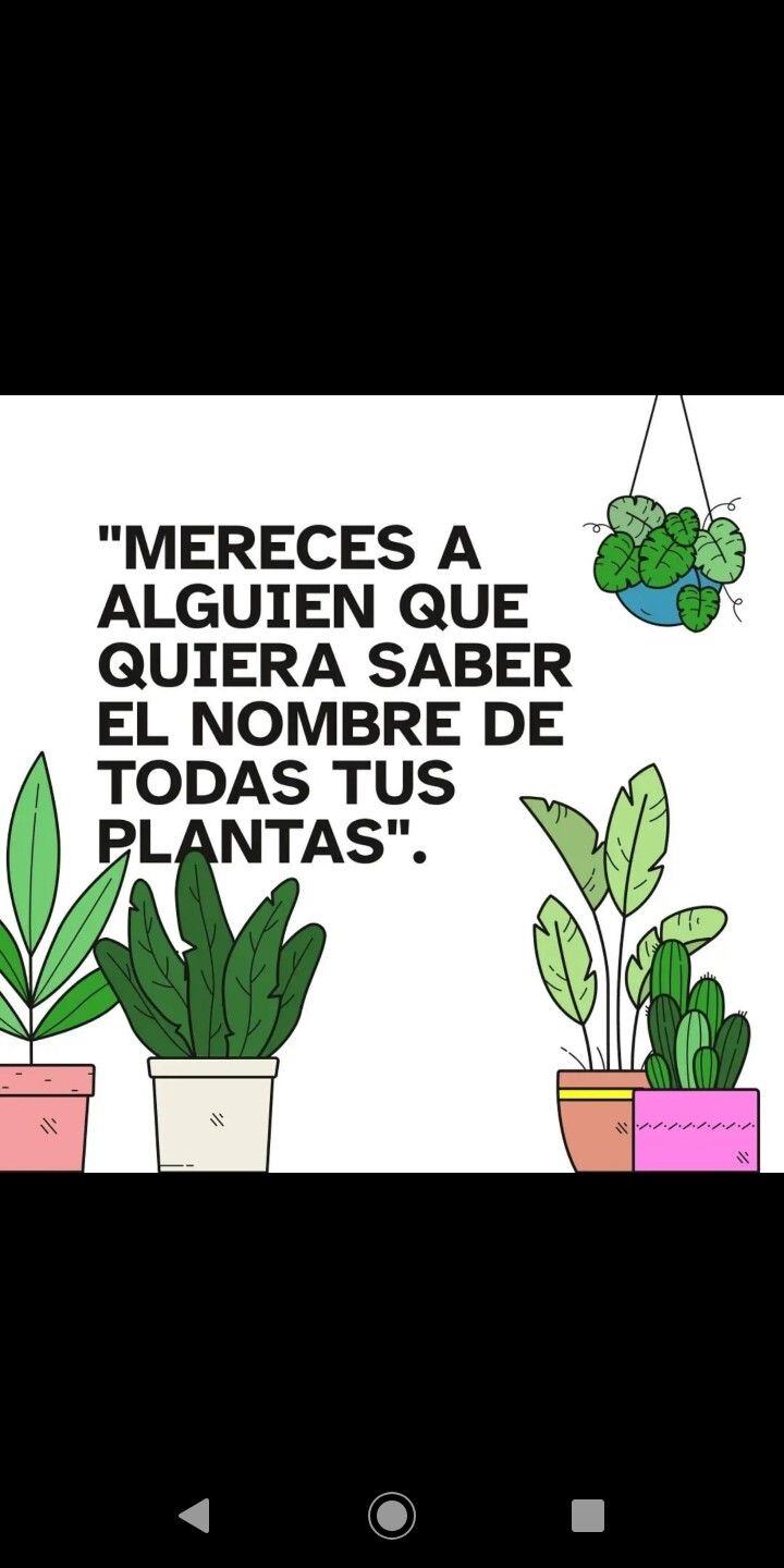 Imágenes por primavera. (Foto: Pinterest)