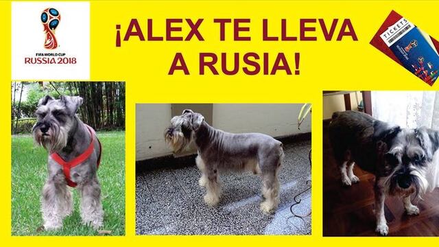 Familia ofrece paquete completo a Rusia 2018 a quien encuentre a su perrito