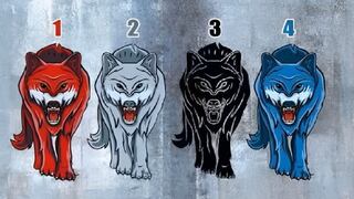 Escoge uno de los lobos en esta imagen para descubrir por qué necesitas estar solo