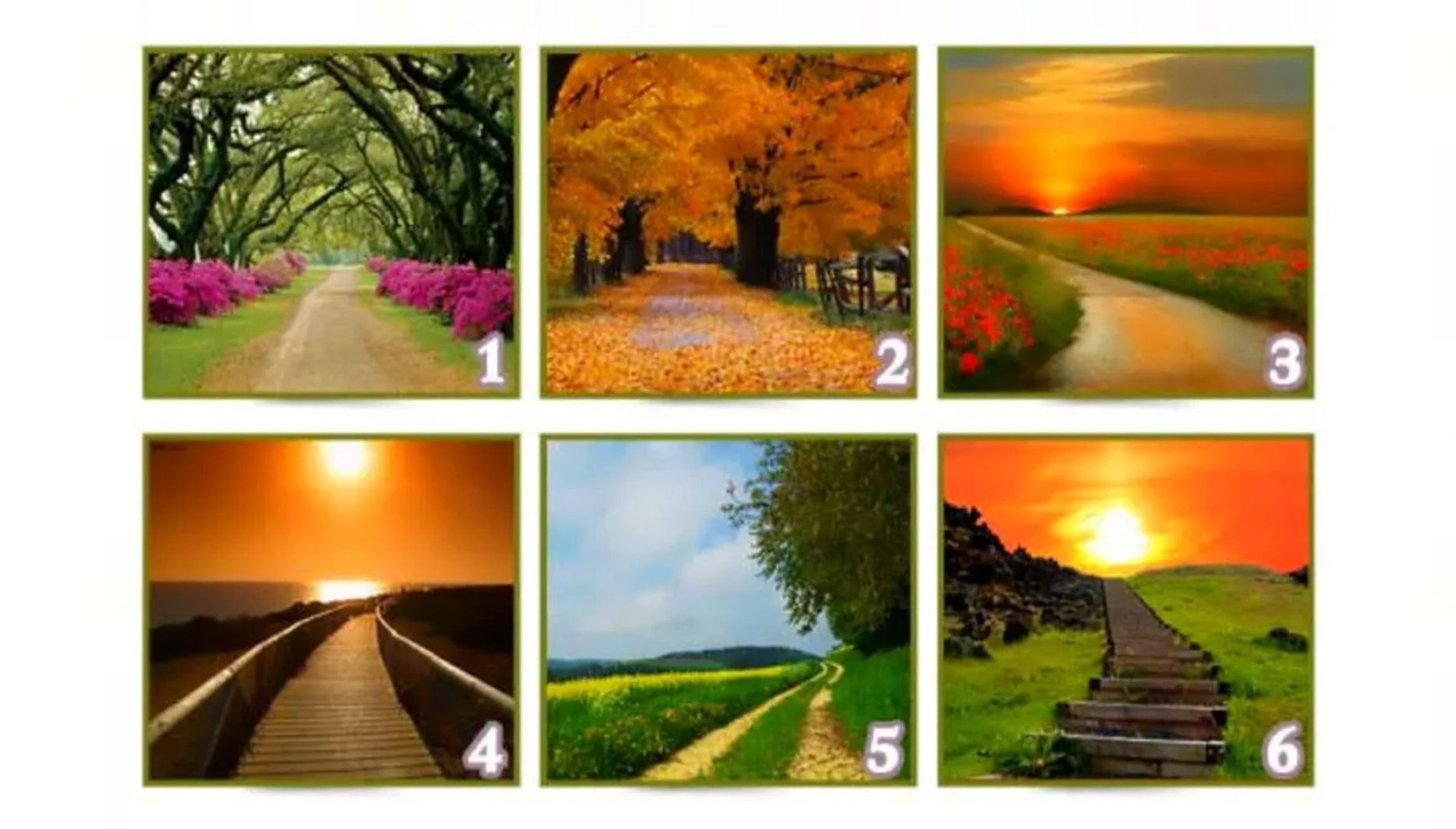 TEST VISUAL | En esta imagen se aprecian seis caminos diferentes. Elige uno. (Foto: namastest.net)