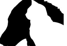 Descubre si eres una persona humilde o soberbia según el primer animal que veas