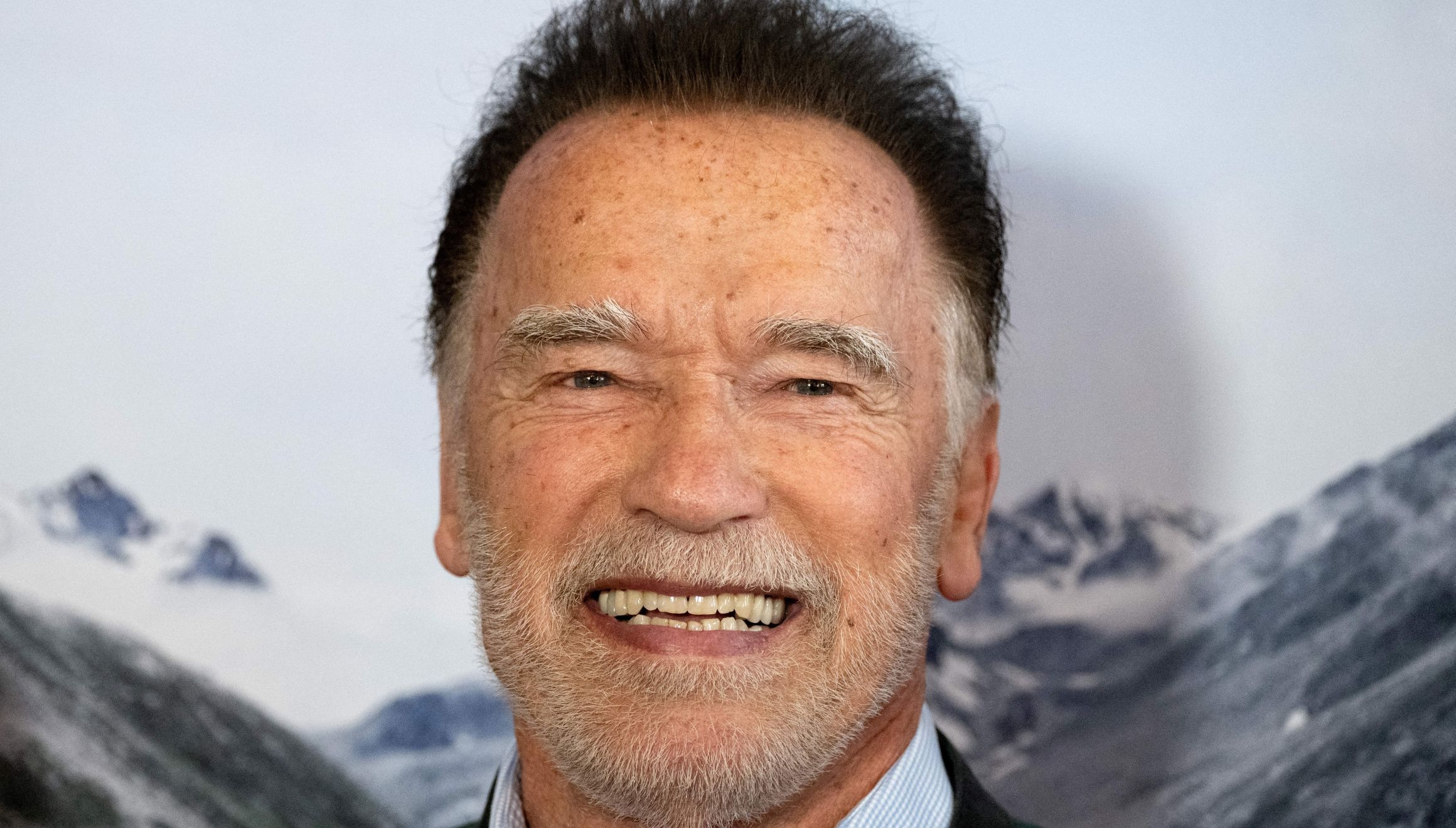 En esta imagen se puede apreciar a Arnold Schwarzenegger sonriendo. (Foto: Joe Klamar / AFP)