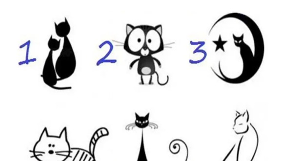 TEST VISUAL | En esta imagen hay varios gatos. Tienes que elegir uno. (Foto: namastest.net)