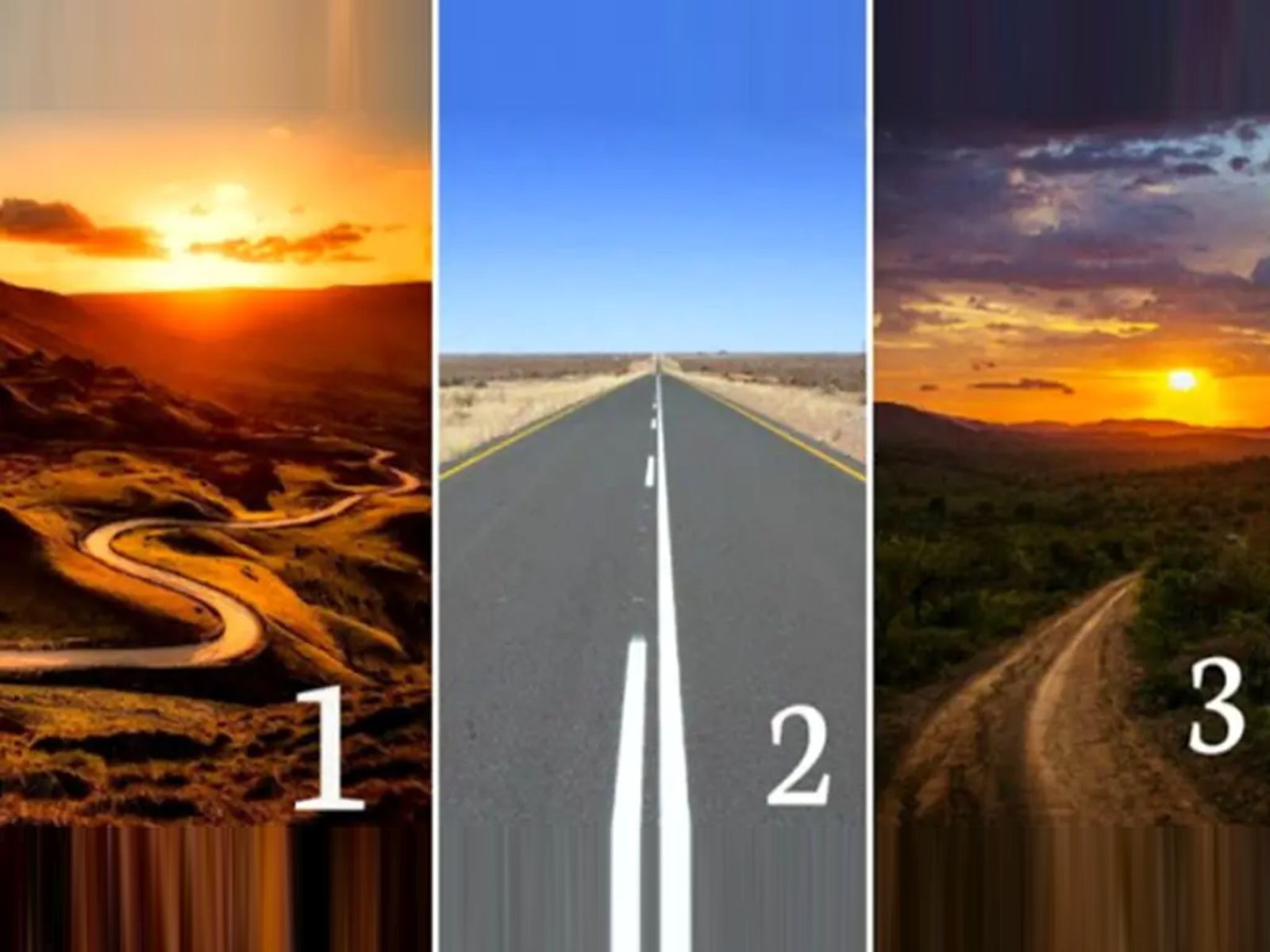 TEST VISUAL | En esta imagen hay tres caminos. ¿Cuál tomarías? (Foto: namastest.net)