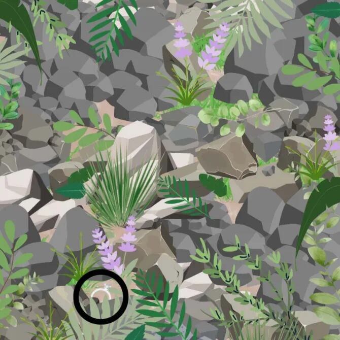 SOLUCIÓN DEL DESAFÍO VISUAL | El anillo estaba ubicado en la esquina inferior izquierda de la imagen ocupada.