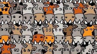 Tienes 20 segundos: ¿puedes encontrar al perro escondido entre las vacas sin marearte? [FOTO]