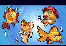 Pídele un deseo a un pez dorado y descubre tu destino