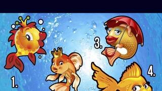 Pídele un deseo a un pez dorado y descubre tu destino