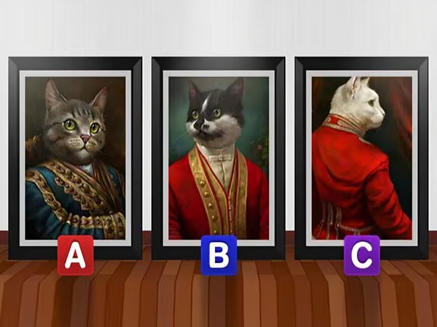 Elige al gato que más te guste o llame tu atención (Foto: GenialGuru)