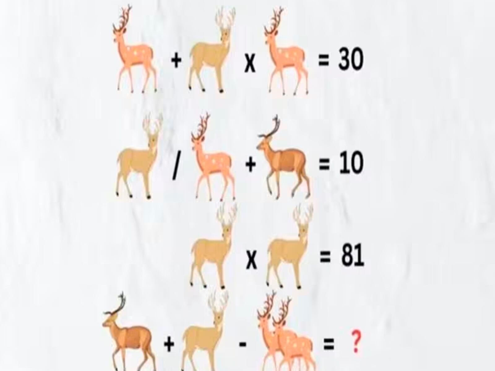 Es importante que prestes la atención necesaria para lograr obtener la solución del reto matemático.| Foto: fresherslive