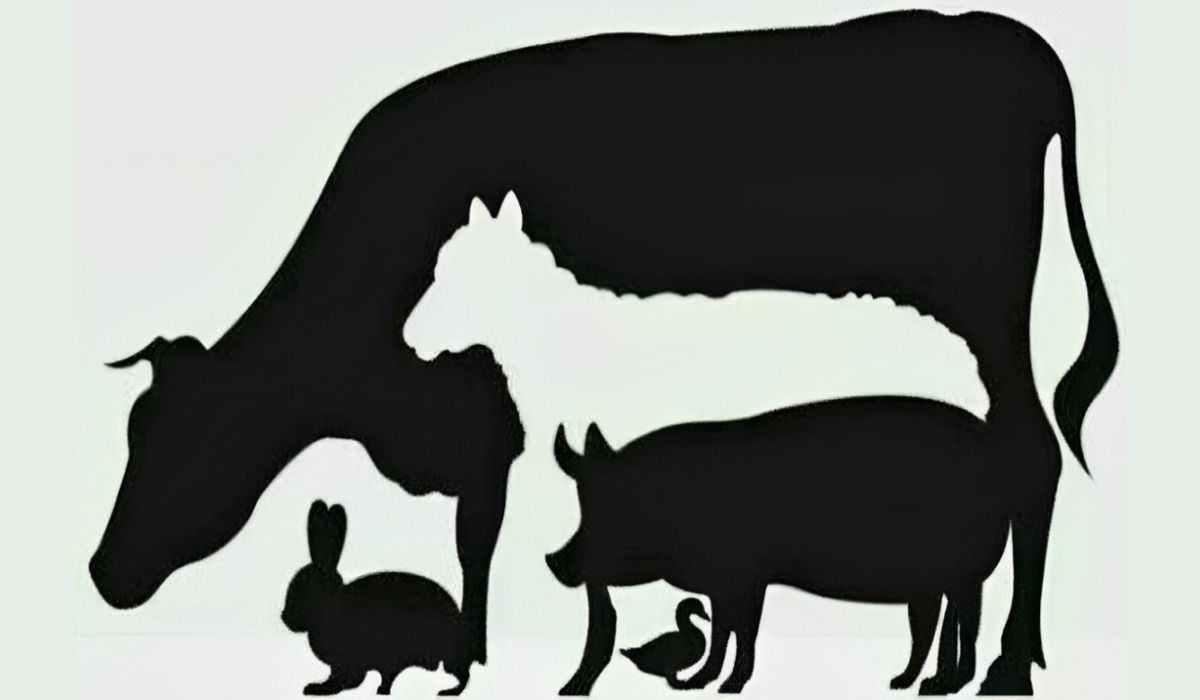 Test de personalidad: descubre quién te traicionará según el número de animales que veas en esta imagen (Foto: GenialGuru).