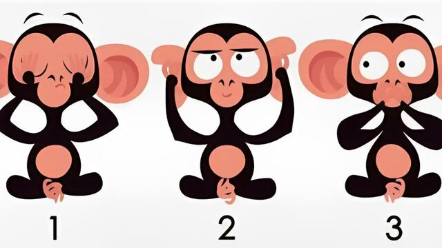 Uno de los monos de la imagen te hará descubrir tu mayor atractivo en la vida