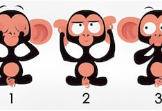 Uno de los monos de la imagen te hará descubrir tu mayor atractivo en la vida