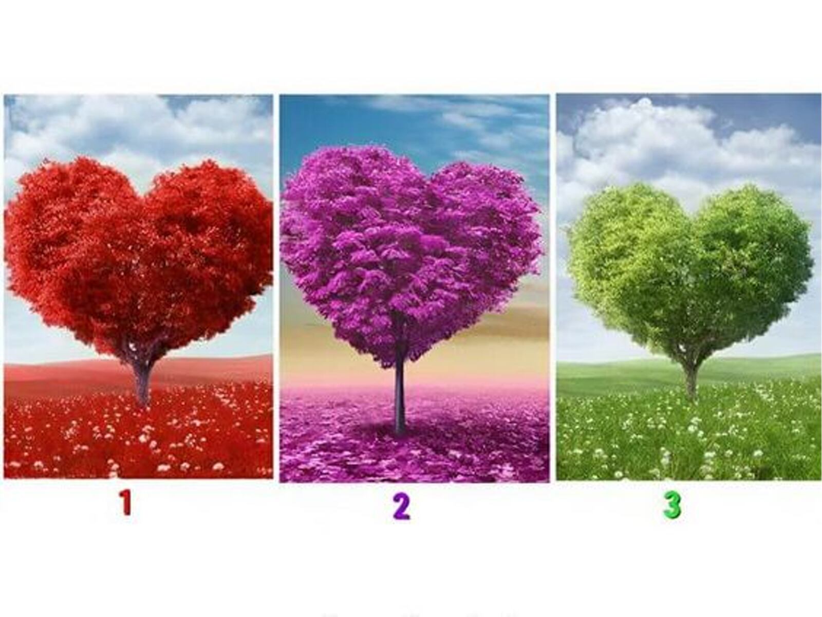 TEST DE PERSONALIDAD | Elige uno de los árboles con forma de corazón y revela las sorpresas que el futuro tiene preparadas para ti.