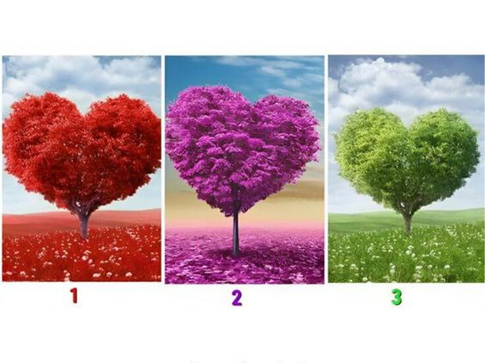 TEST DE PERSONALIDAD | Elige uno de los árboles con forma de corazón y revela las sorpresas que el futuro tiene preparadas para ti.