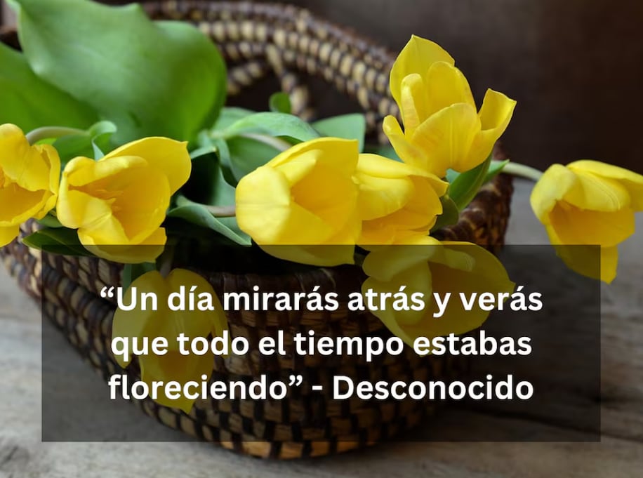 “Un día mirarás atrás y verás que todo el tiempo estabas floreciendo” - Desconocido | Imagen de Petra en Pixabay / Composición Depor.