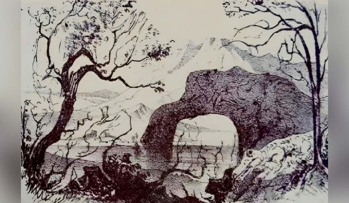 Conoce qué tan inteligente eres según cuántos animales ves en este test de personalidad (Foto: Namastest).