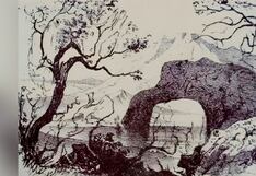 Según cuántos animales veas en esta imagen descubrirás qué tan inteligente eres