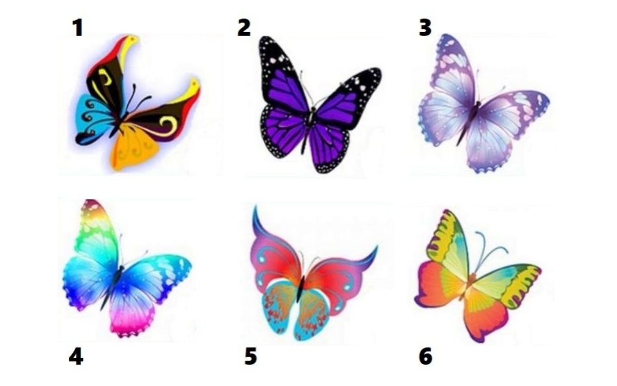 Lo primero que llame tu atención en la foto podría revelar mucho sobre tu forma de ser. Súmate a este nuevo test viral que causa furor en las redes sociales. (Foto: MDZ Online)