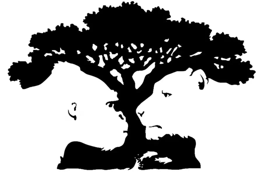 La primera figura que veas revelará si eres alguien que usa la razón o el instinto (Foto: GenialGuru).