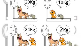 Reto matemático: Calcula el peso total de tres animales en solo 10 segundos
