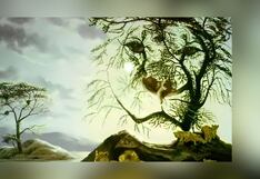 Test de personalidad: descubre si eres una persona sociable según qué ves aquí