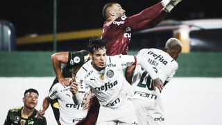 Comizzo, toma nota: fortalezas y debilidades de Palmeiras, según la prensa brasileña