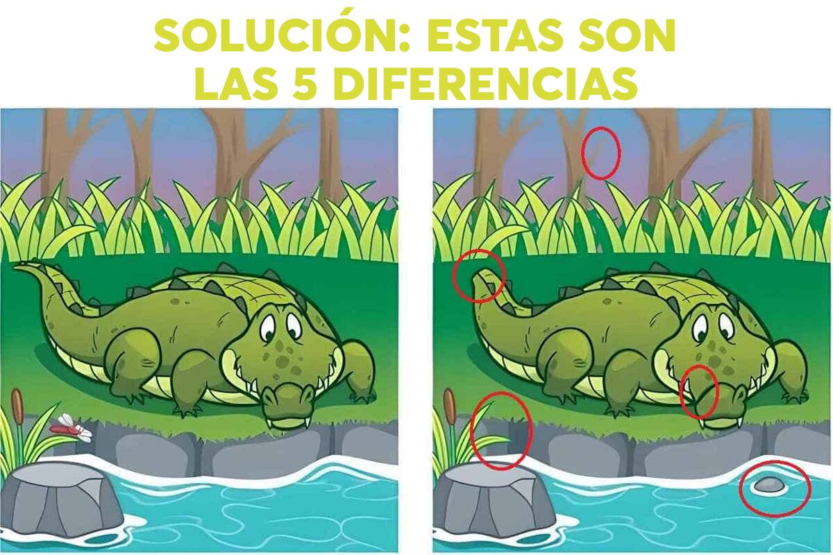 SOLUCIÓN DEL DESAFÍO VISUAL| ¿Encontraste las 5 diferencias en 13 segundos?