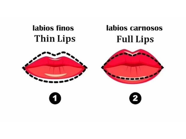 Labiaos Tipos De Forma De Labios