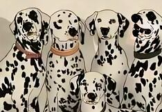 Encuentra al oso panda oculta entre los dálmatas y completa este difícil acertijo visual