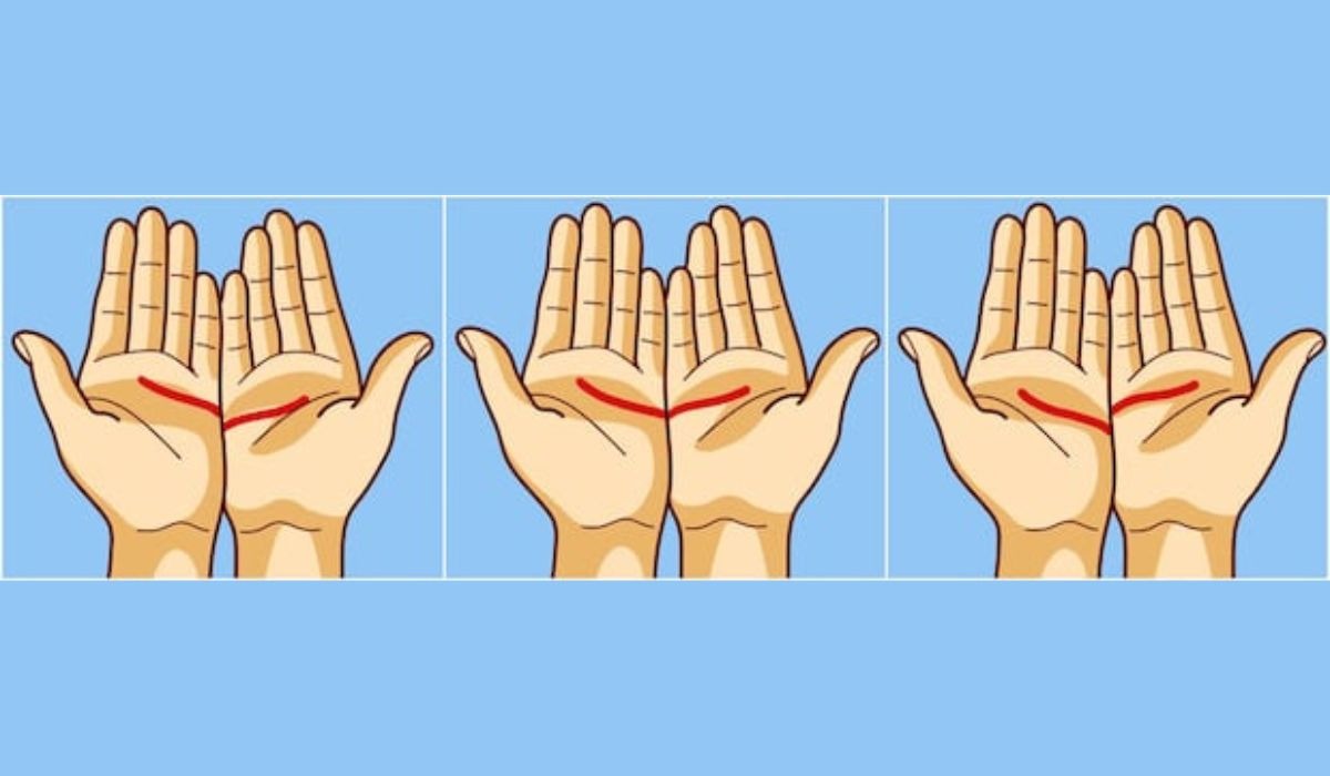 Test de personalidad: descubre cómo es el amor de tu vida según la forma de las líneas de tus manos (Foto: GenialGuru).