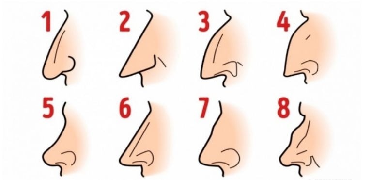 TEST DE PERSONALIDAD | Mira la imagen de los tipos de nariz. La que se parezca a la tuya te dirá algo que no esperabas sobre ti. (Mdzol)