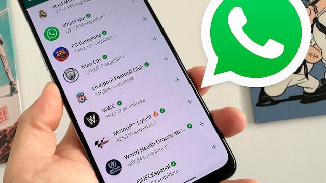 WhatsApp: cómo organizar tus canales