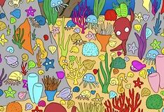 Desafío visual: encuentra el pez camuflado en el fondo marino en 15 segundos