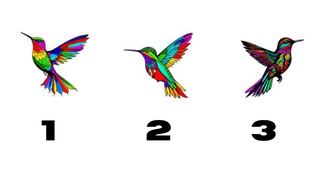 Tus tres debilidades serán reveladas con solo elegir un colibrí