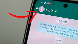 WhatsApp: por qué LuzIA no contesta