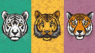 Descubre cuántos años tienes mentalmente con tan solo elegir uno de los tigres