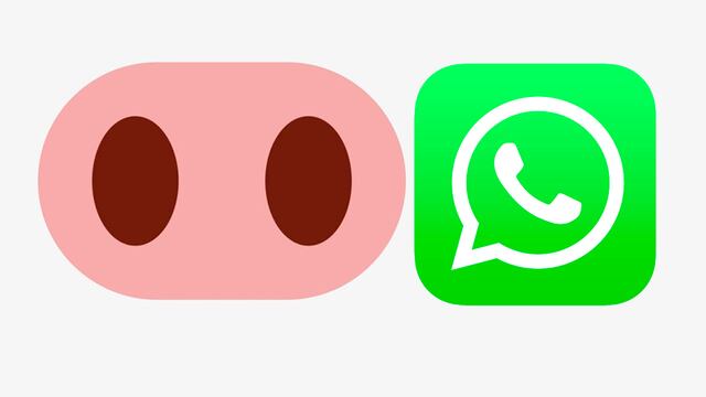 ¿Sabes qué significa el emoji de la nariz de cerdo de WhatsApp? Esta es la verdad