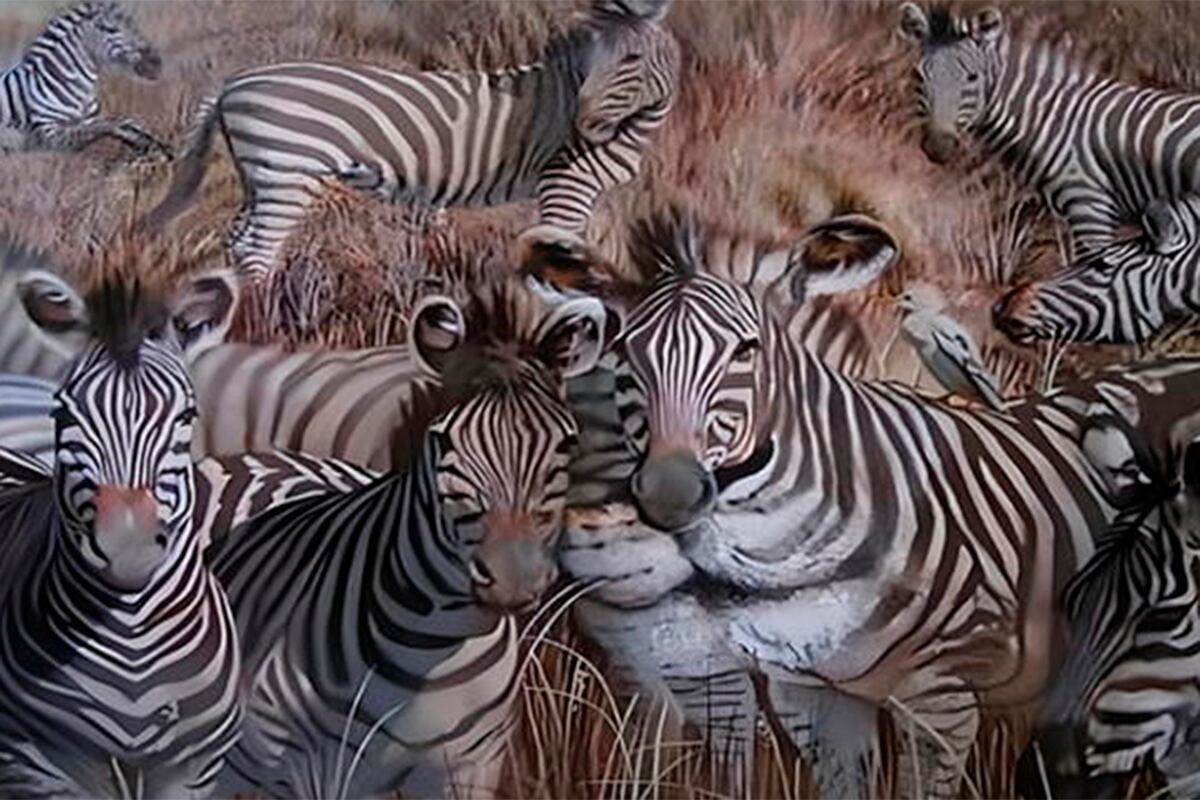 TEST DE PERSONALIDAD | Solo responde qué llegaste a identificar y conocerás los resultados de la prueba. | Foto: namastest