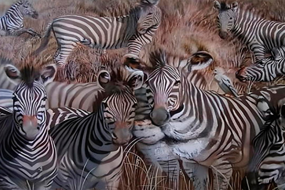 TEST DE PERSONALIDAD | Solo responde qué llegaste a identificar y conocerás los resultados de la prueba.| Foto: namastest