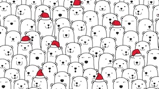 Solo 1 de cada 5 personas encuentra al oso con la marca de Harry Potter en la imagen