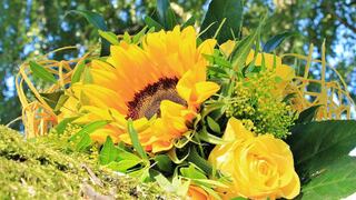 Descubre cómo se origina la costumbre de regalar flores amarillas al inicio de la primavera en México