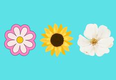 Choose one of the flowers in the image to discover your greatest virtue as a person