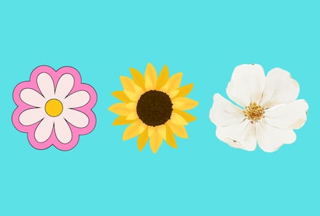 Choose one of the flowers in the image to discover your greatest virtue as a person