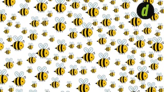 ¿Puedes hallar a la abeja diferente al resto en la imagen? Casi nadie ha superado este acertijo visual