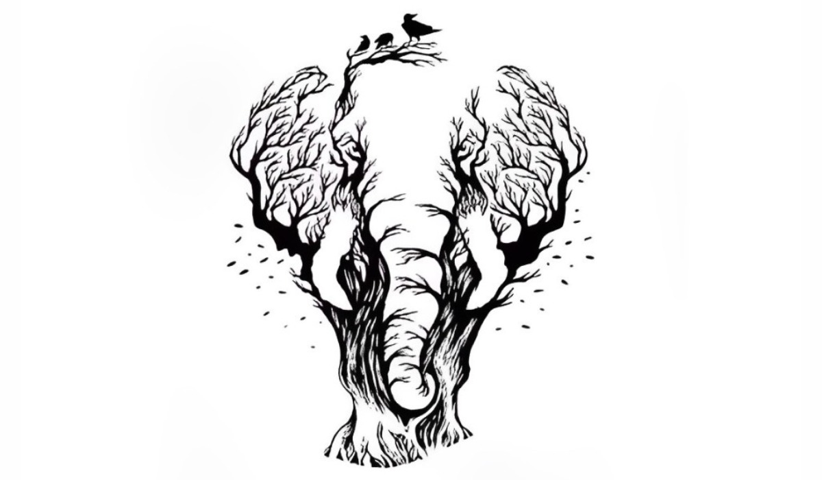 Descubre si serás una persona exitosa según qué veas en este test visual (Foto: Pinterest).